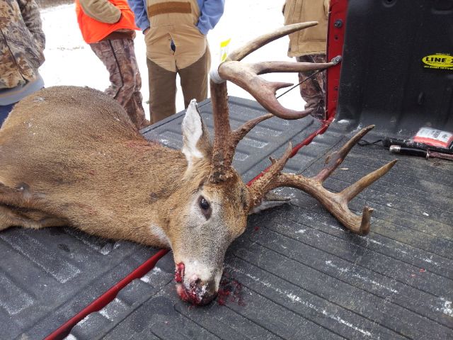 2013 shotgun buck