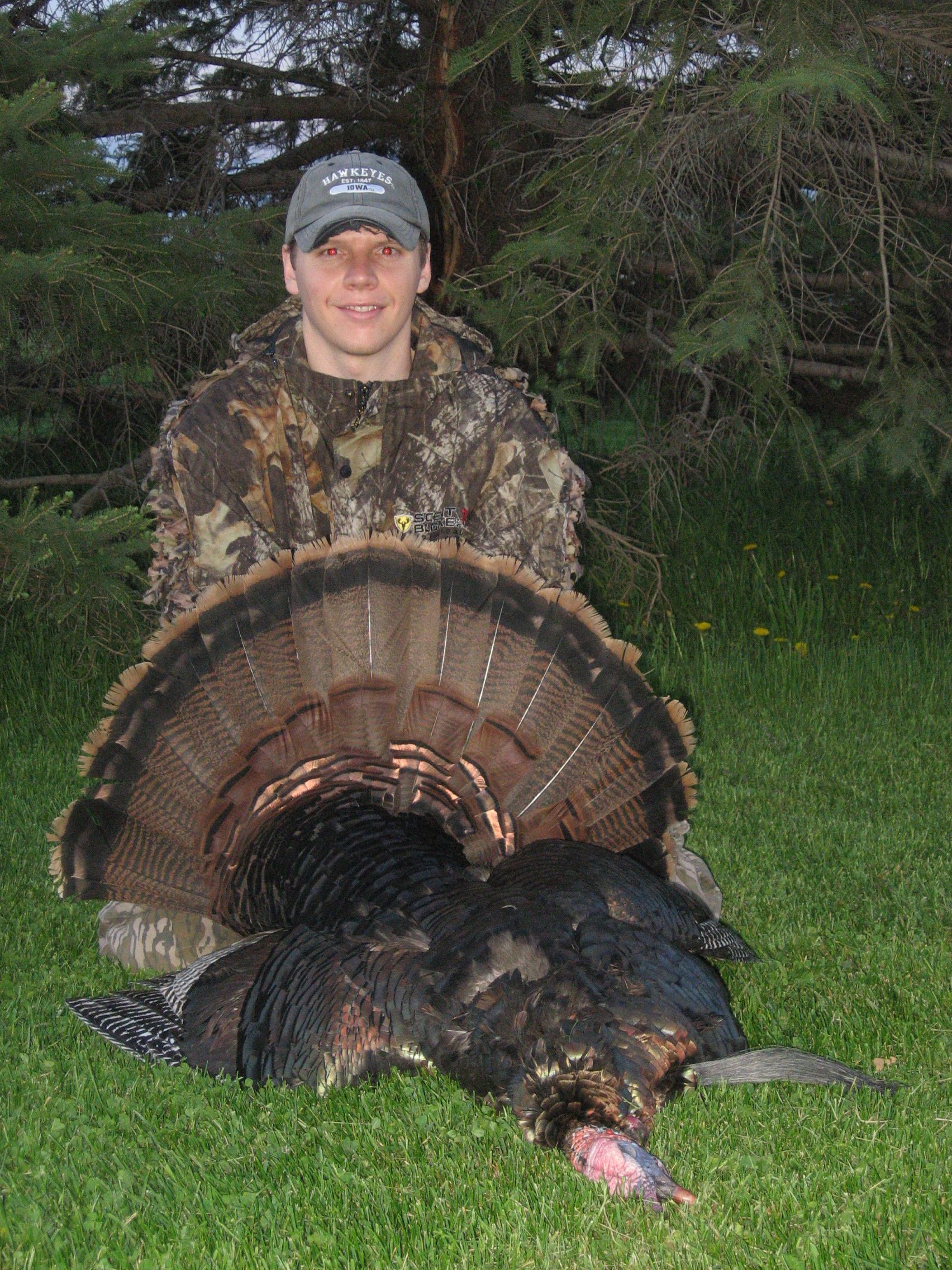 2013 Turkey