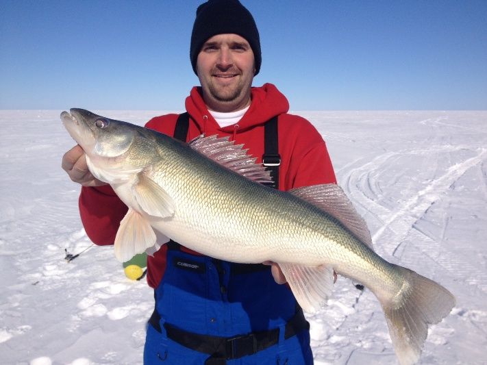 2013 Walleye