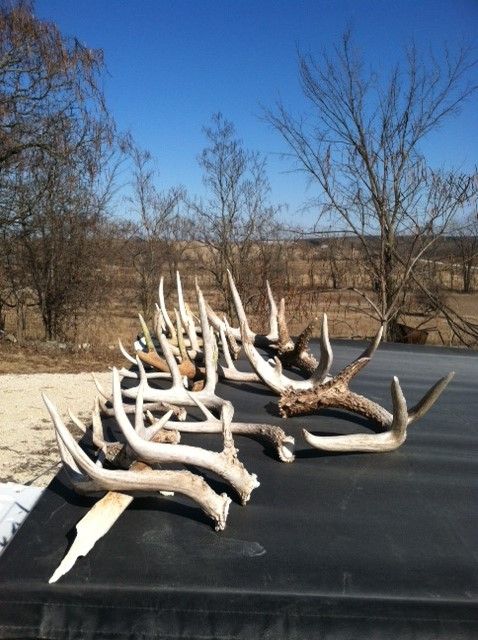 2014 Iowa Sheds