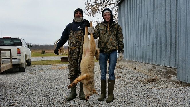 2014 yote