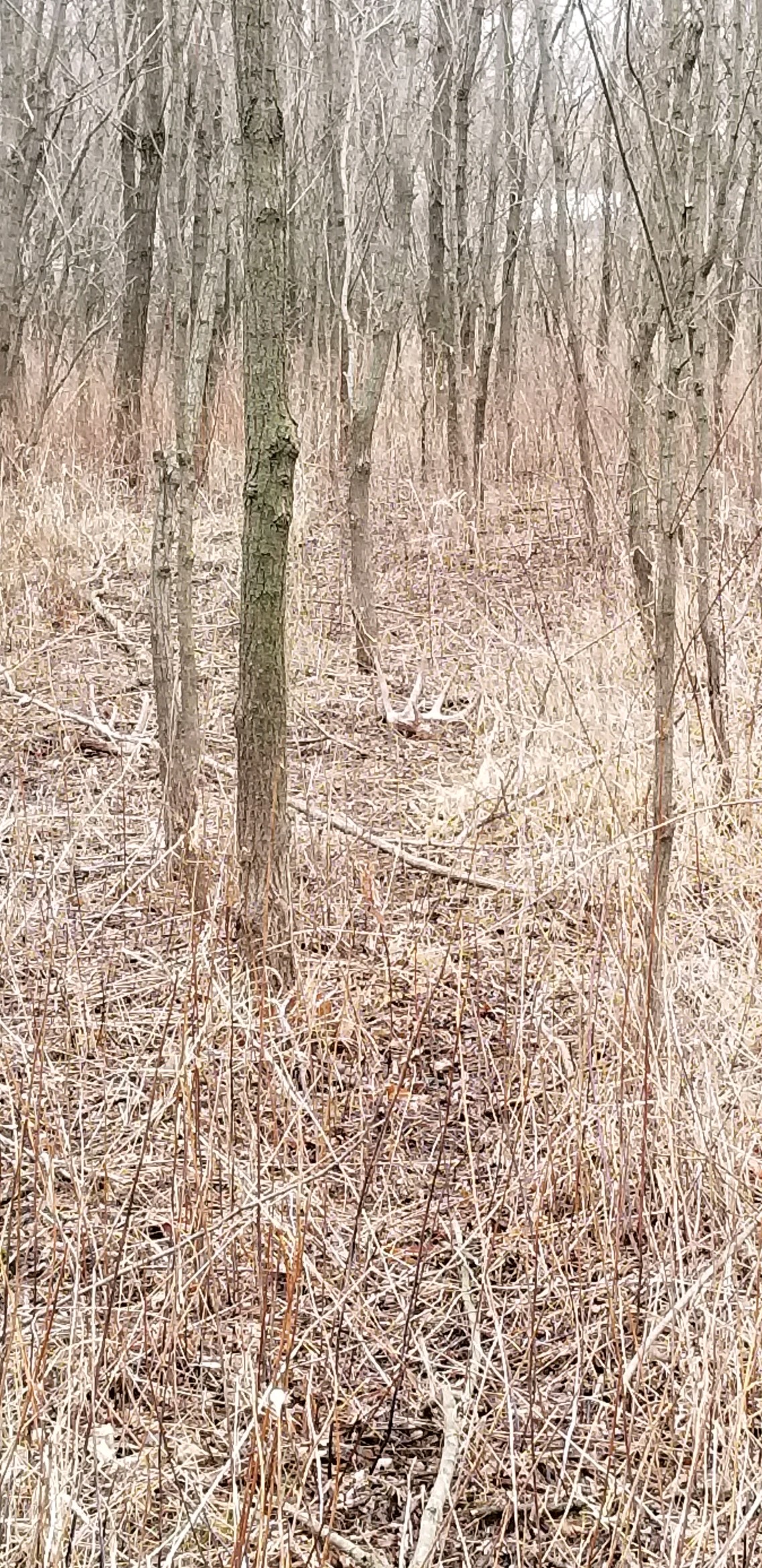 20190203_141720
