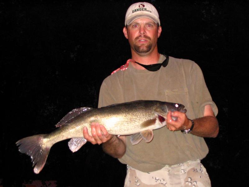 31 1/2" pool 8 Mississippi walleye