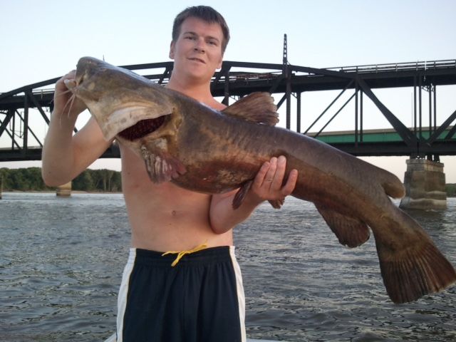 48lb Flathead