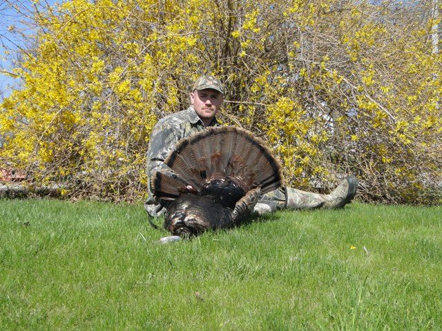 4th season bird 4-30-11