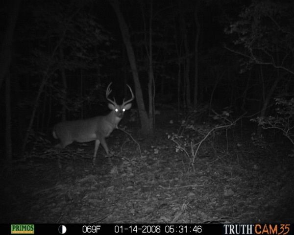 5.5+ public land.  Left side found