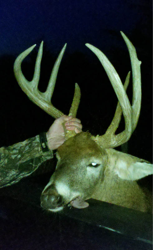 7 point