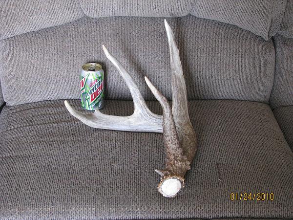 76" four point 2010