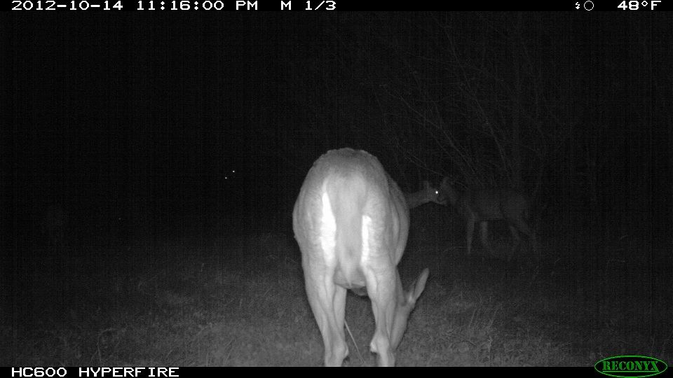 773-trailcam 2012 5382