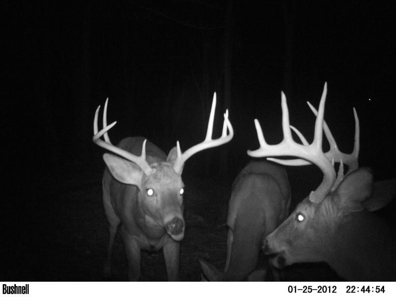 8 and 10 I found sheds from.
