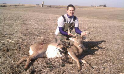 8pt 2012