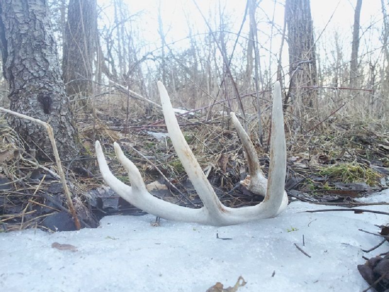 After work shed