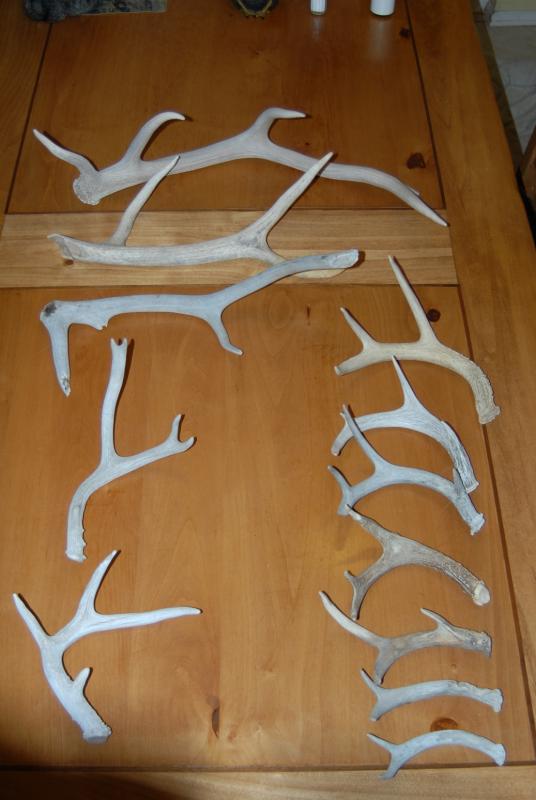 All of my AZ Sheds through the years.