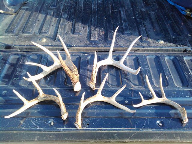 All sheds