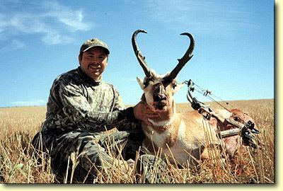 Another antelope fooled by the decoy