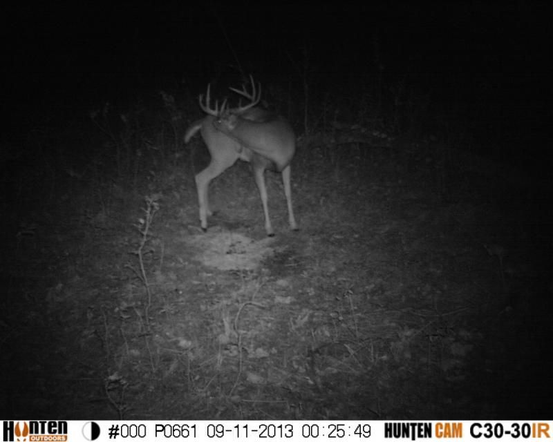 Another young buck with a promising future...