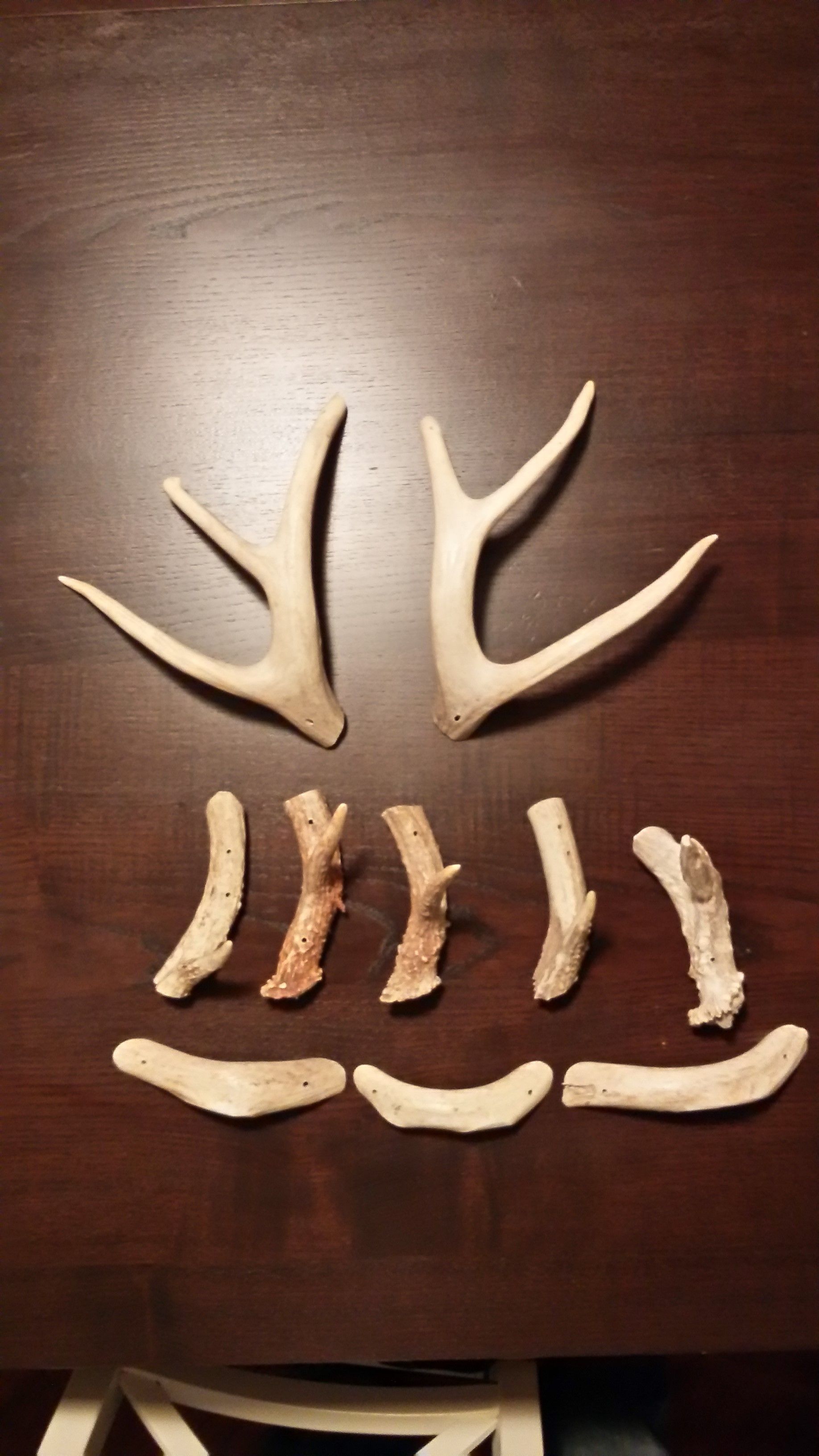 Antler Project