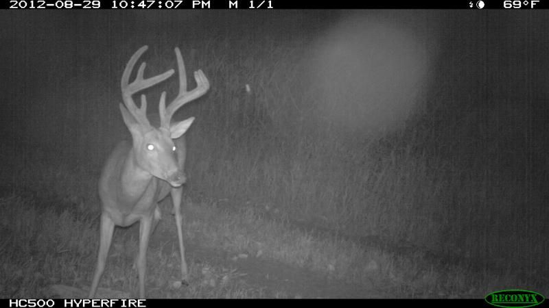 aug 29 074