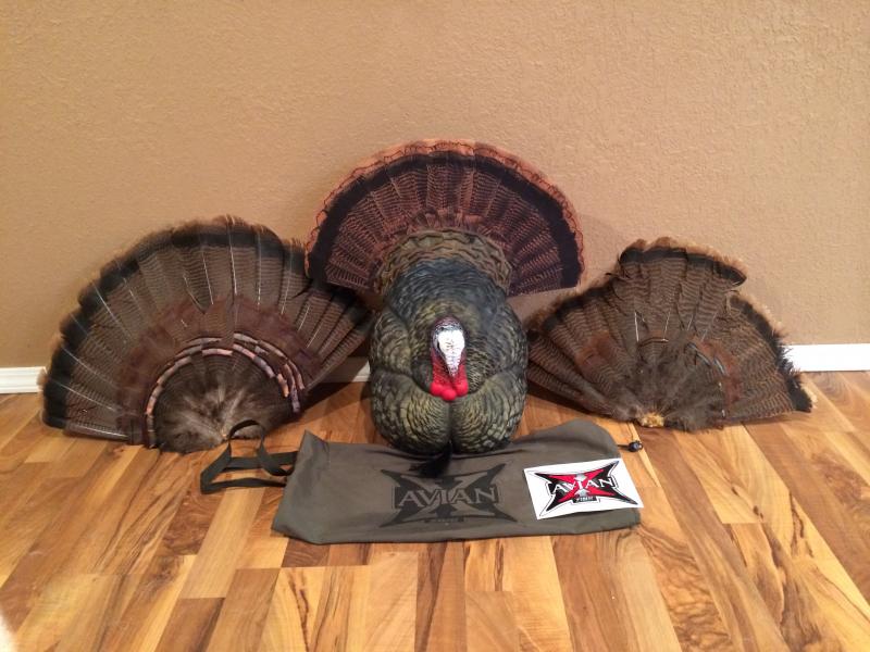 Avian X Strutter. I bought it last season and hunted with it for 2 hours. I am offering to throw in a real fan. Either a tom or jake fan. 
 Asking $1