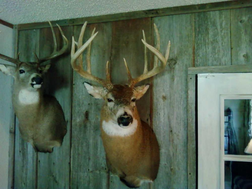 big 10
