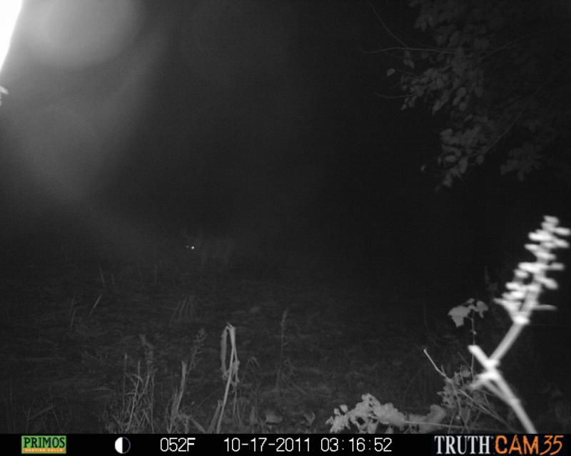 Big 8 in the background