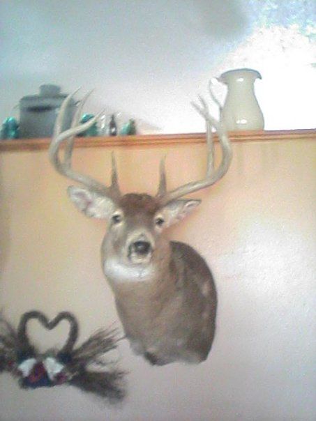 Big 8 point 2004 gun 2 kill