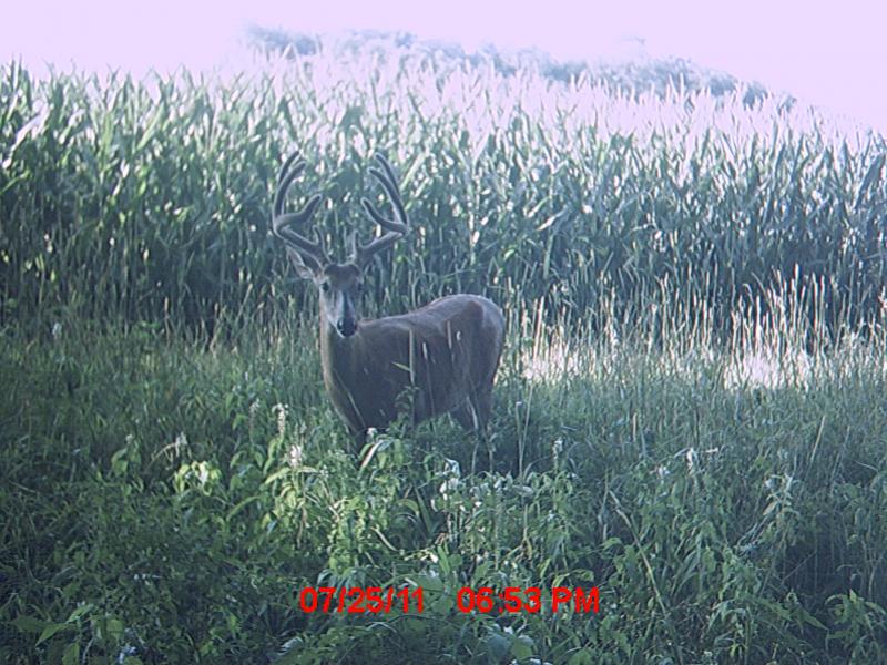 Big 8