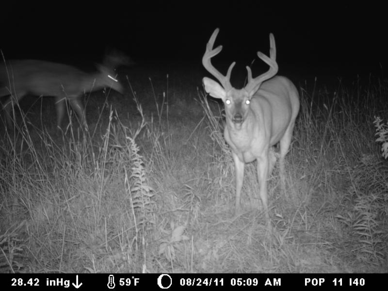 Big Boys 081