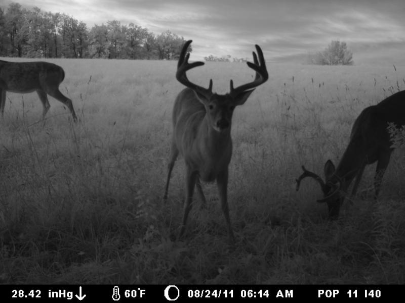 Big Boys 128