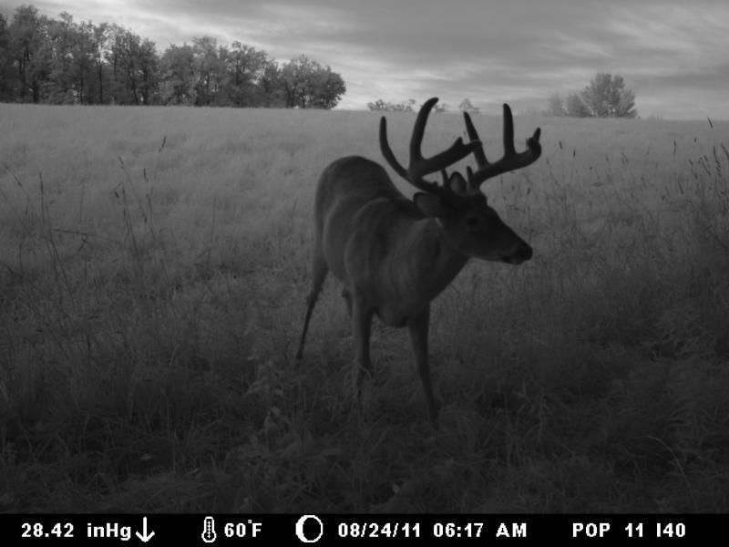 Big Boys 130