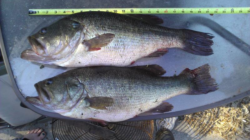 big boys 23  and 21