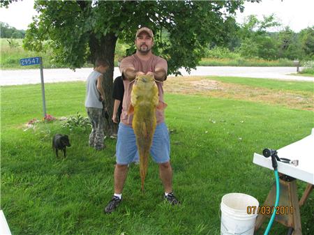 Big Flathead cat