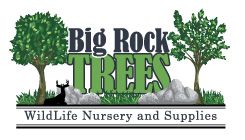 Big Rock Trees Logo