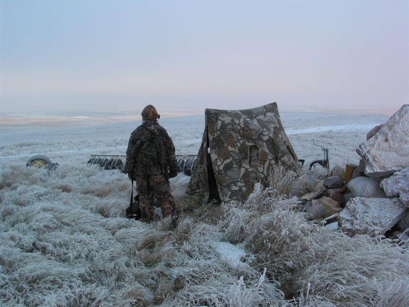 blind hunting in big crp country