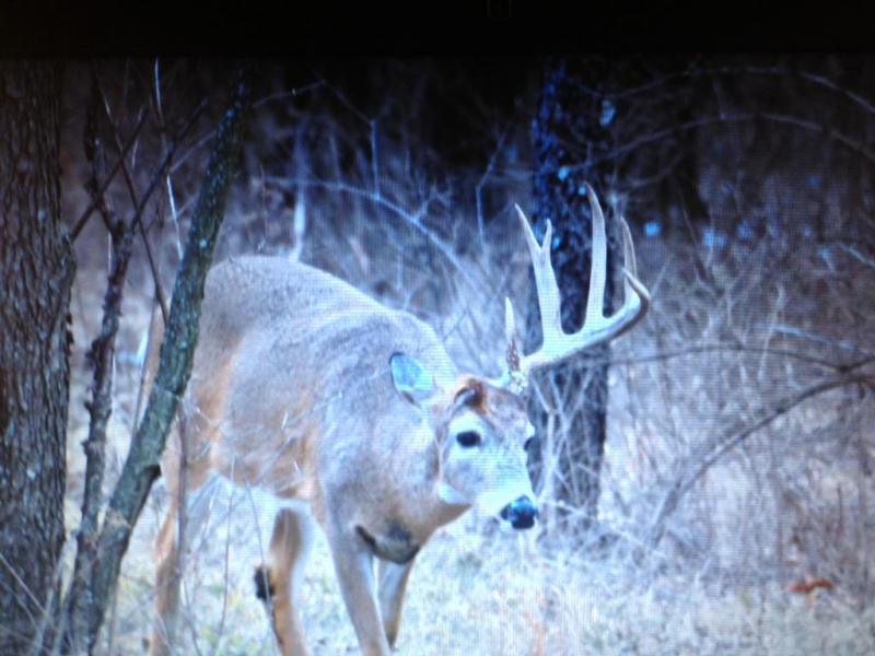 BONE DOWN!!!!!!