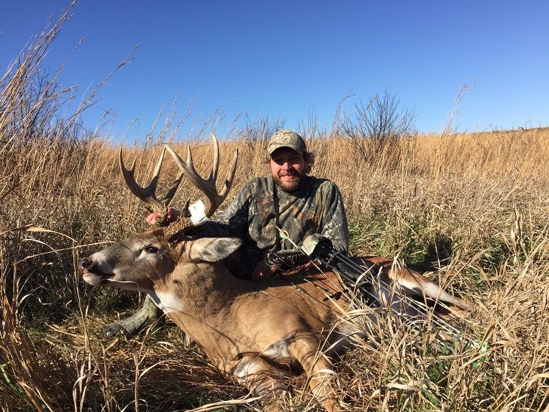 Bow buck 1  Resize