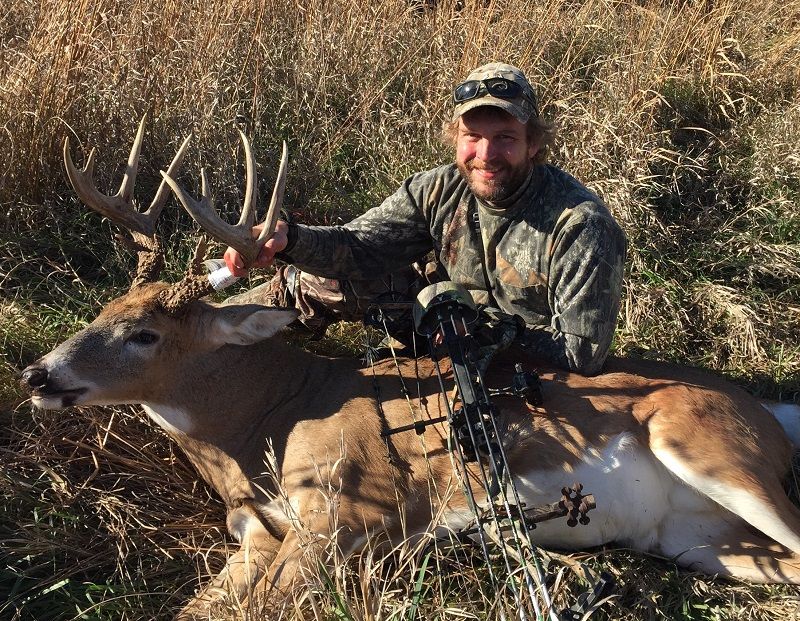 Bow buck 2  Resize