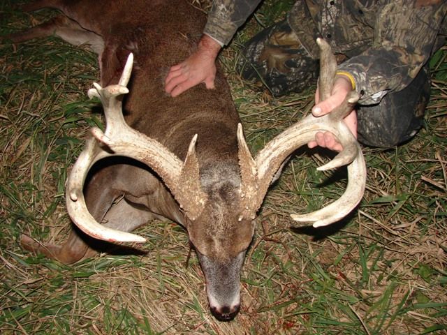 bow buck 2007 largest buck to as of 4/24/11