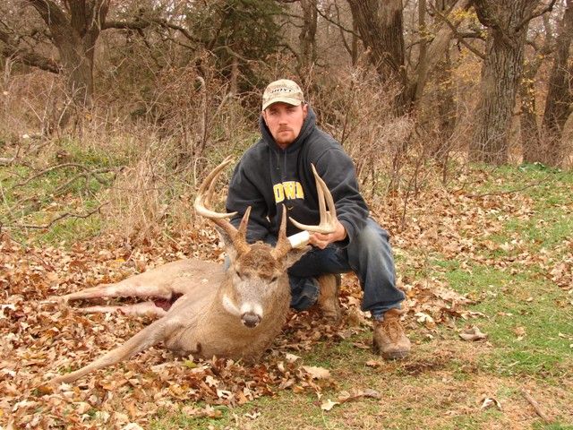 bow buck 2008  gross 157 5/8