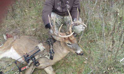 bow buck 2012