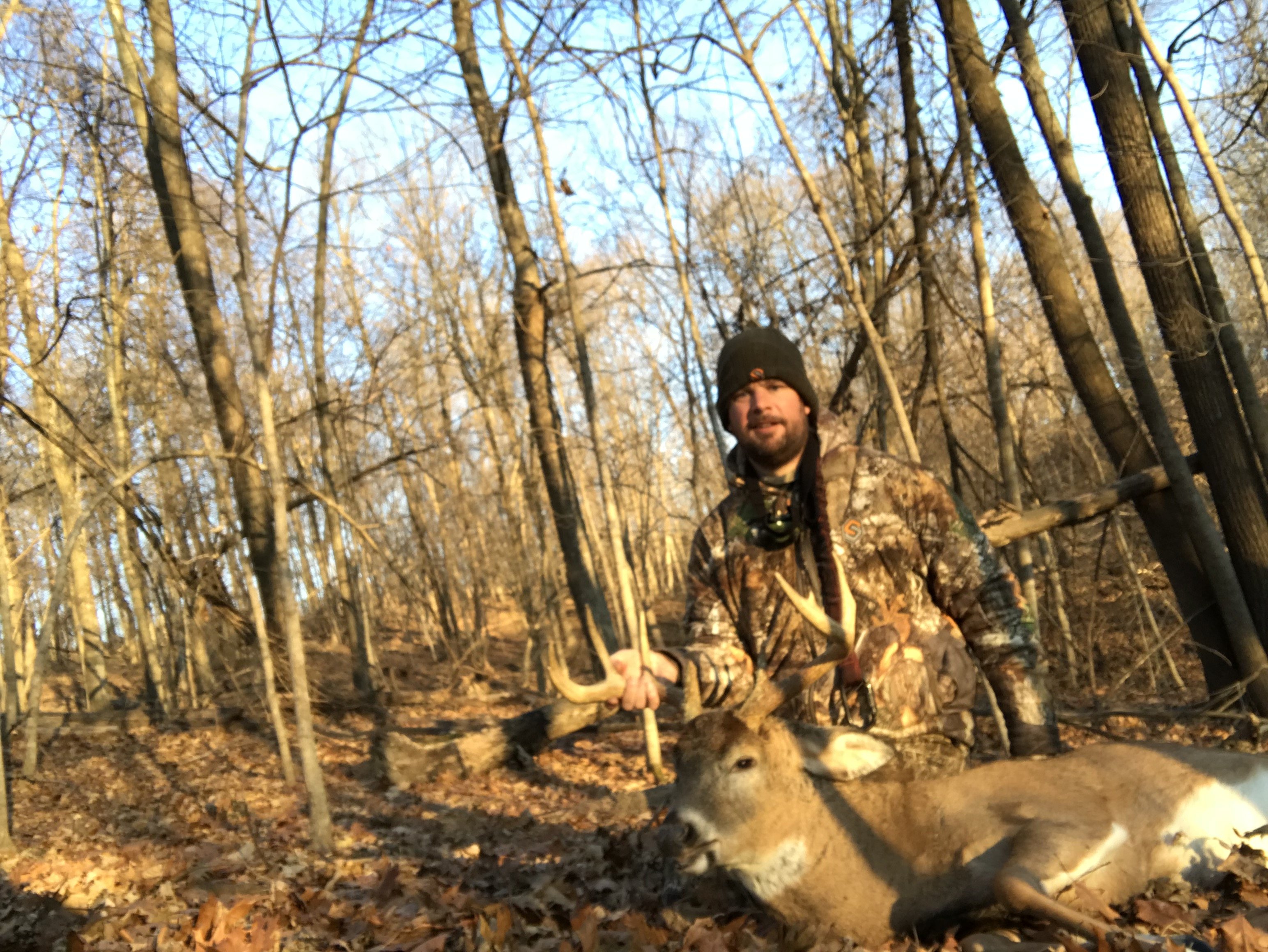 Bow Buck 2018