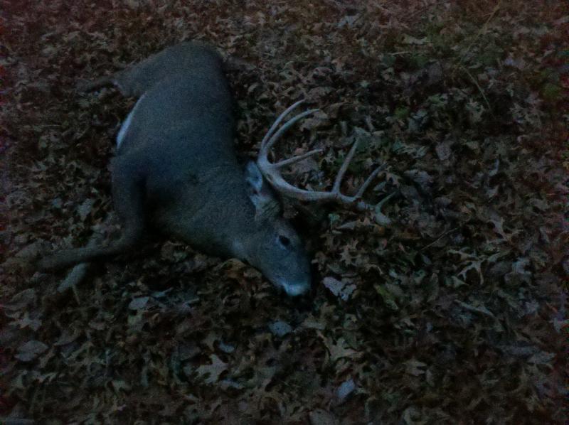 Bow Kill 2011