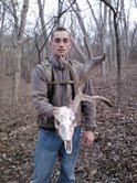 Caribou