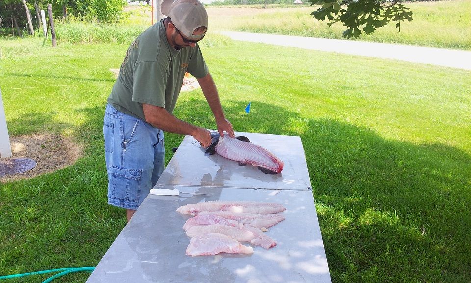 Cleaning fish