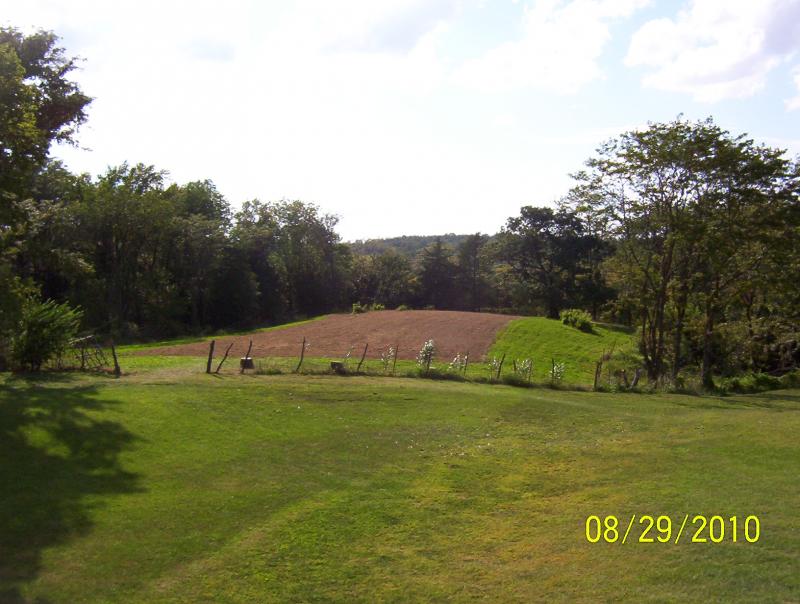 Clover plot/Ridge planted