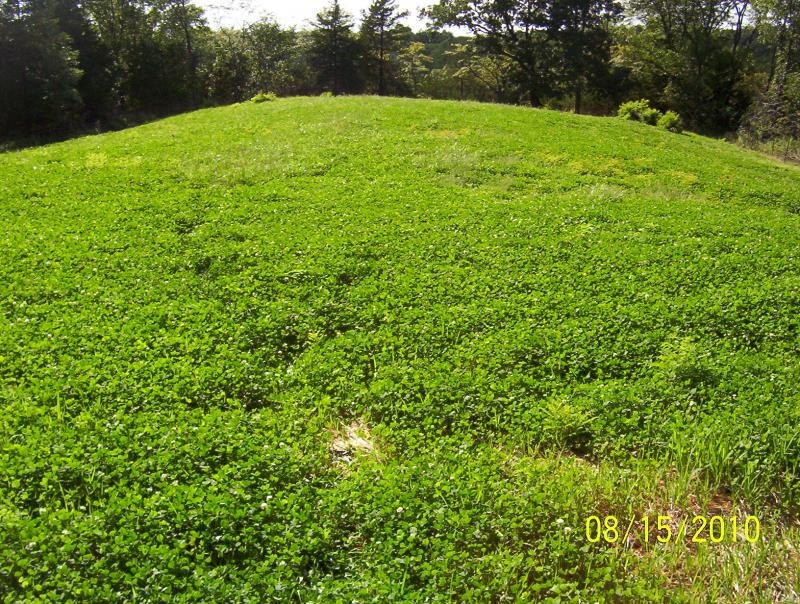 Clover plot