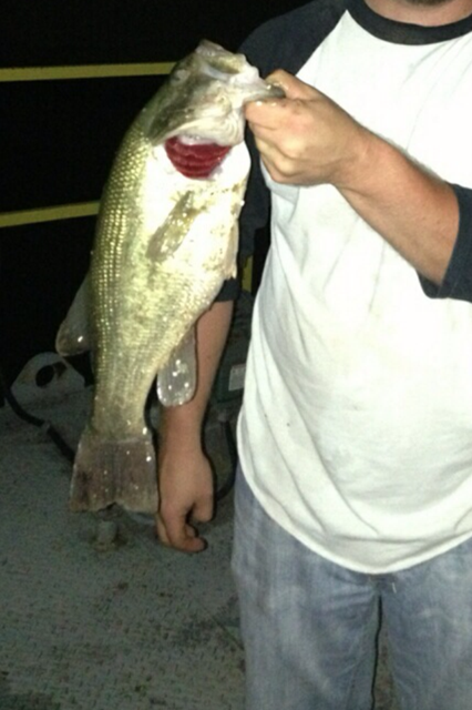 Crazy Perfect Fishing Night