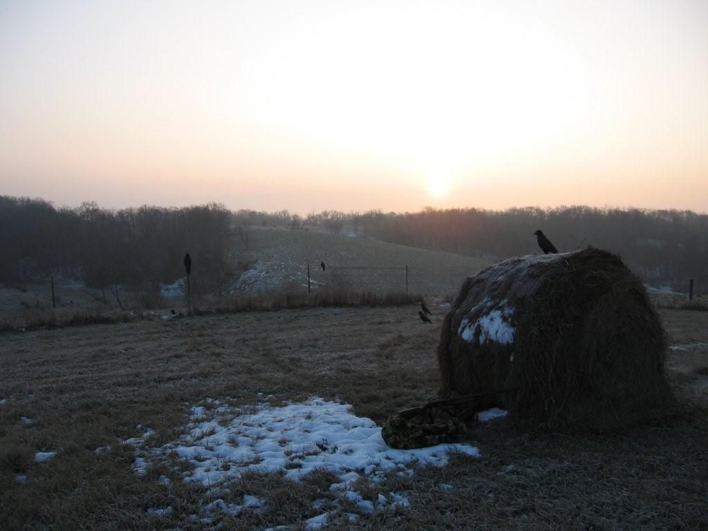 Crow Blind