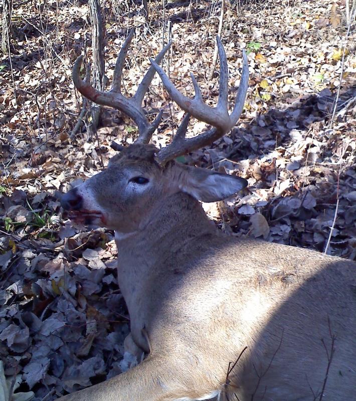 Dad's 10 pnt