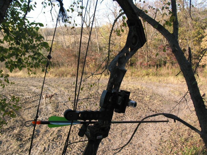 decoy stand in Iowa